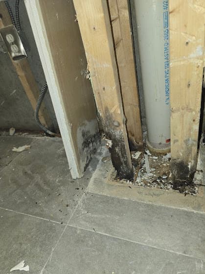 Mold Remediation